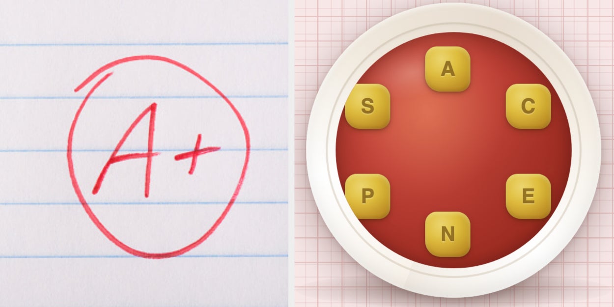 Medium Level The Soup Of The Day Daily Word Puzzle 55