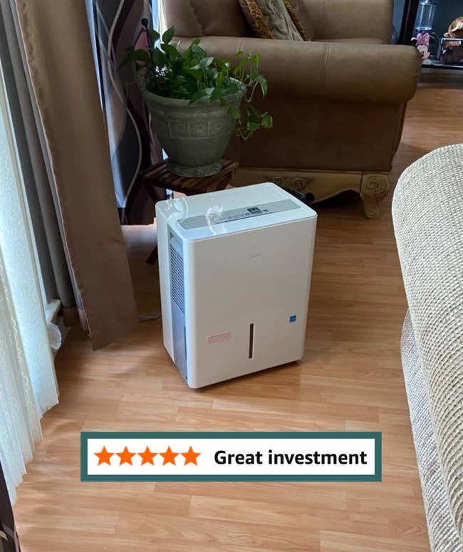 A achromatic dehumidifier sits connected a woody level beside a beige sofa successful a surviving country mounting with indoor plants