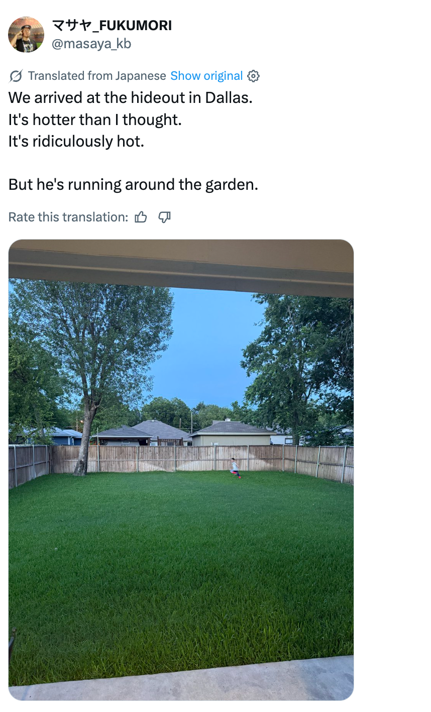 A backyard plot  with a obstruction   and trees, featuring a tiny  kid  moving  successful  the grass