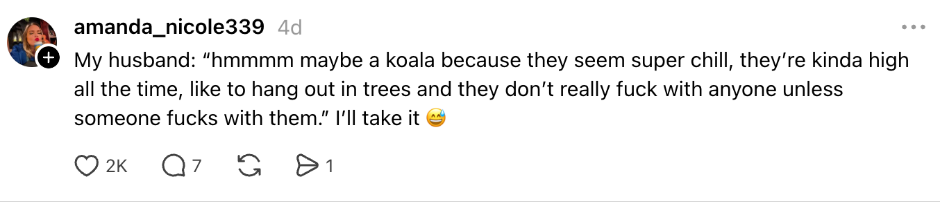 A societal media station jokingly compares a koala's chill demeanor to the user's husband