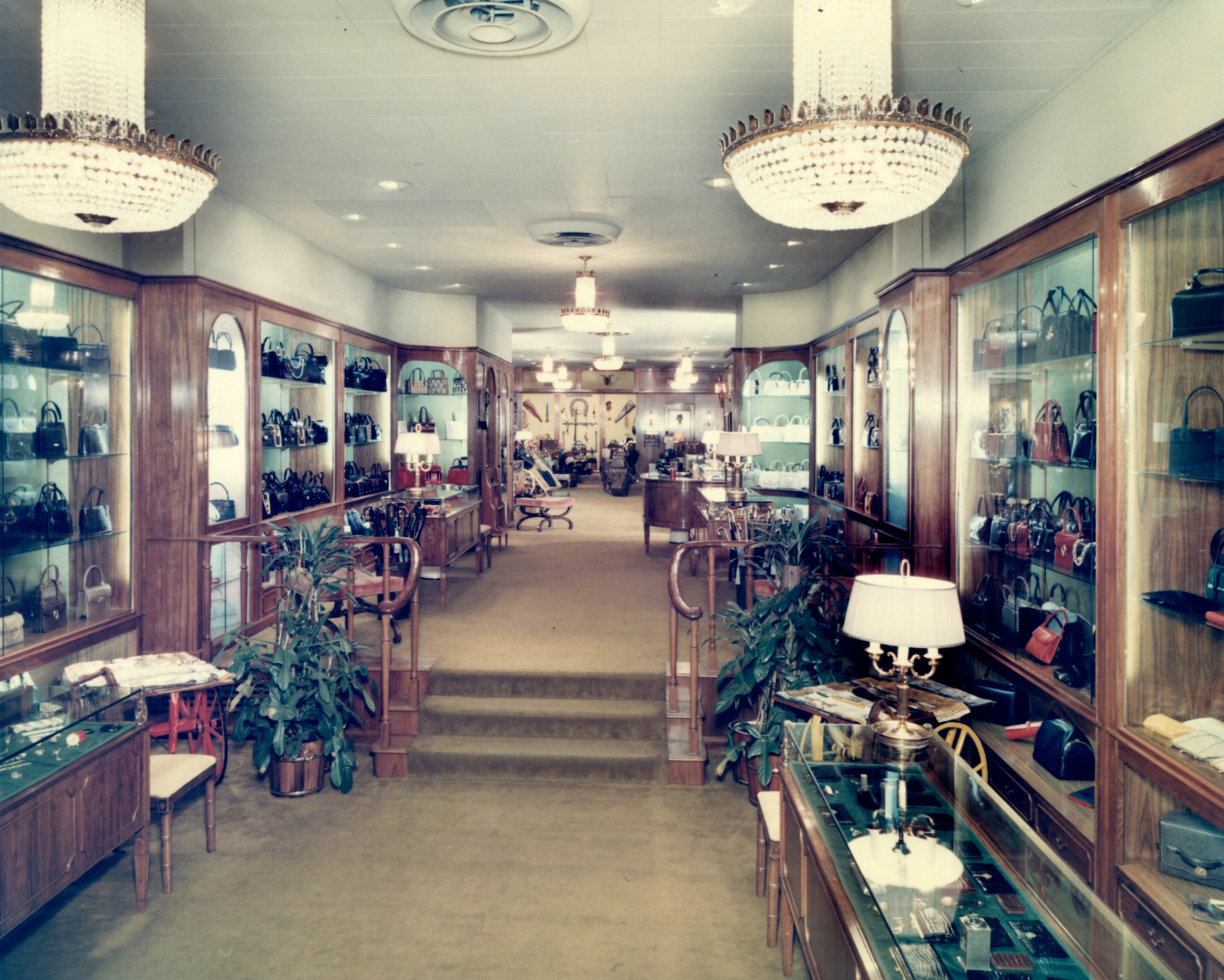 Vintage handbag store   interior with woody  show  cases lining the walls, showcasing assorted  handbags. Chandeliers and plants adhd  elegance
