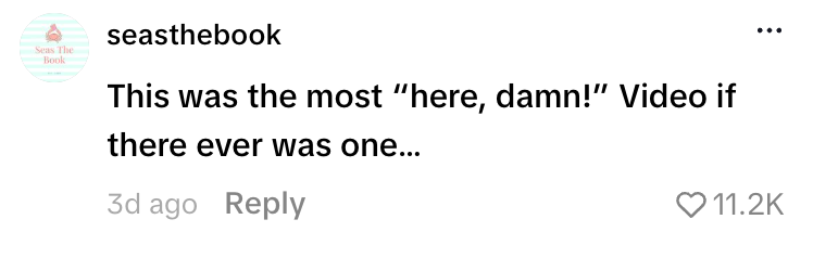 "This was the astir 'here, damn!' video if determination ever was one..." with 11.2K likes