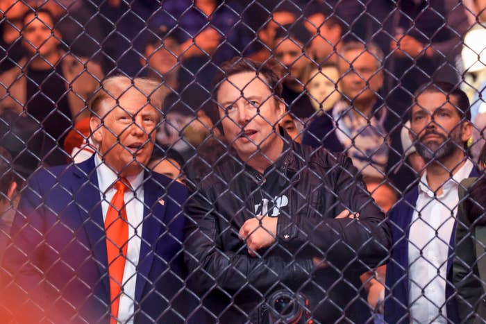 US President-elect Donald Trump, Tesla and SpaceX CEO Elon Musk and Donald Trump Jr. (R) watch a fight