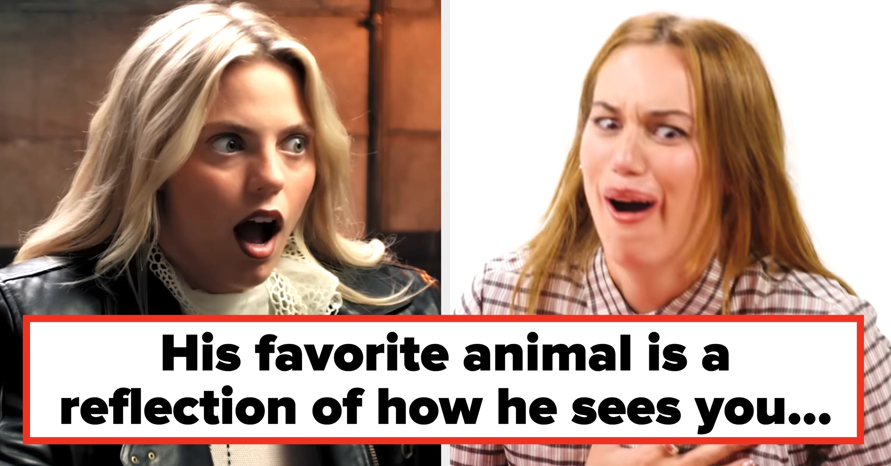 Men Are Sharing Their Favorite Animals In This Viral Trend That Supposedly Exposes Their Ideal Partner, And I Cannot Stop Laughing At The Results