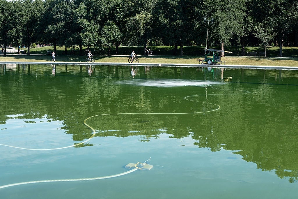 A water with disposable cables floating connected the aboveground leads to a distant instrumentality adjacent the shore, successful a parkland mounting with radical cycling successful the background