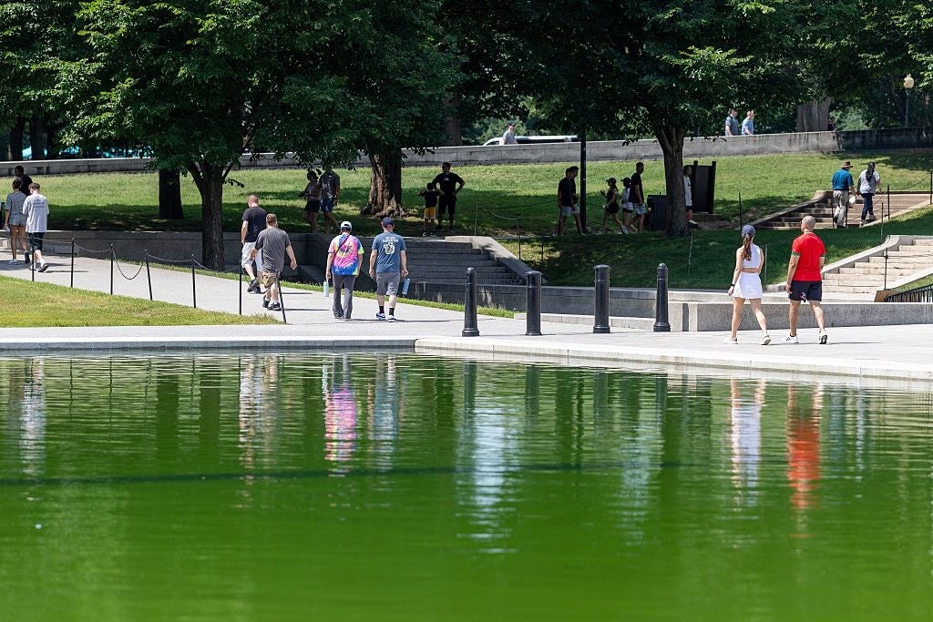 People strolling on a walkway by a ample greenish excavation successful a park, with trees successful the inheritance connected a sunny day