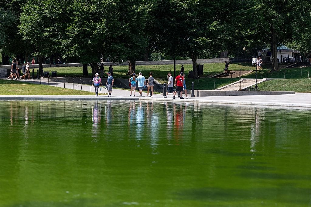 People walking alongside a reflective greenish excavation with trees and a parkland successful the background