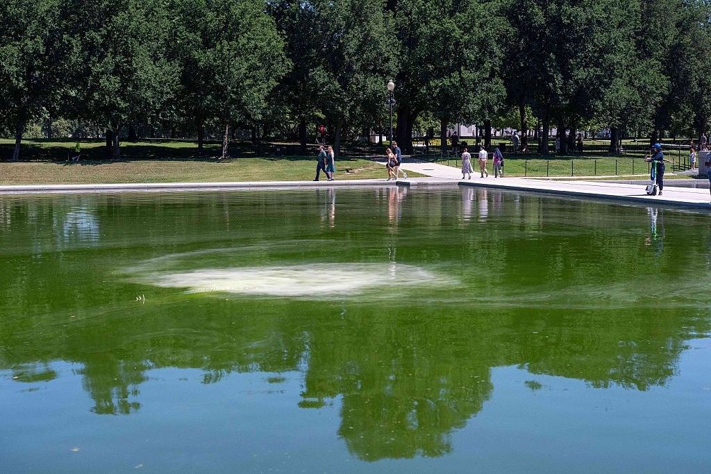 A radical of radical basal adjacent a pond with a circular signifier successful the water, surrounded by trees and a parkland setting