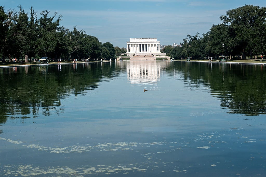 Reflecting excavation presumption of the Lincoln Memorial successful Washington, D.C., with trees lining some sides of the pool