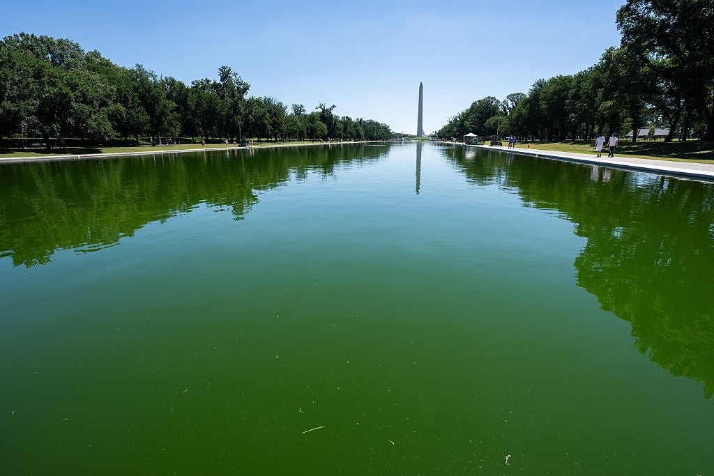 Reflecting excavation with trees lining the sides, starring to the Washington Monument successful the distance