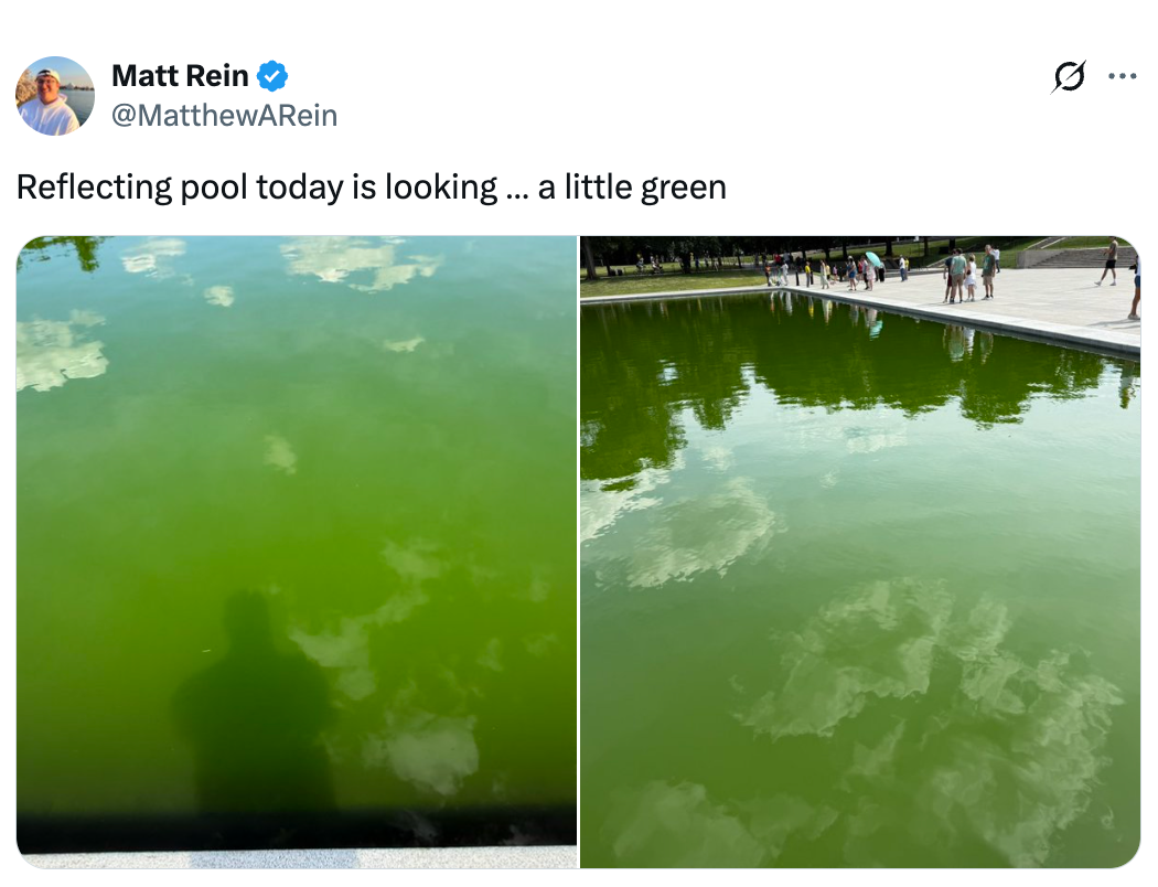 Two images of a reflecting excavation with greenish water, showing reflections of the entity and radical walking nearby