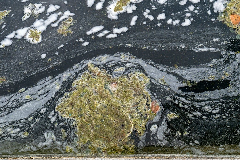 Abstract signifier of swirling foam and algae connected h2o surface, resembling a chaotic, earthy artwork