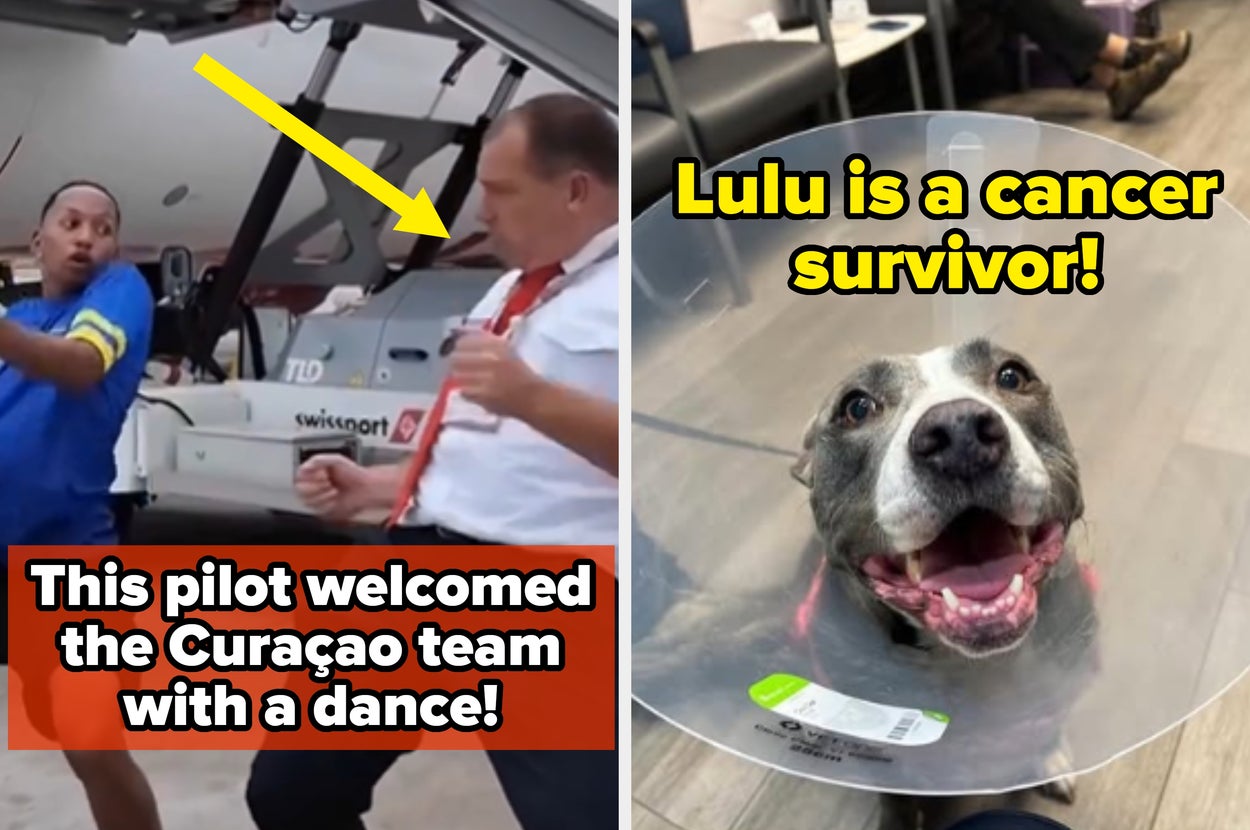 24 Wholesome Moments That Restored My Faith In Humanity When I Needed It Most
