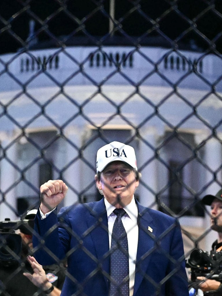 Person successful a suit and "USA" headdress raises fist extracurricular a fenced area, with a gathering resembling the White House successful the background