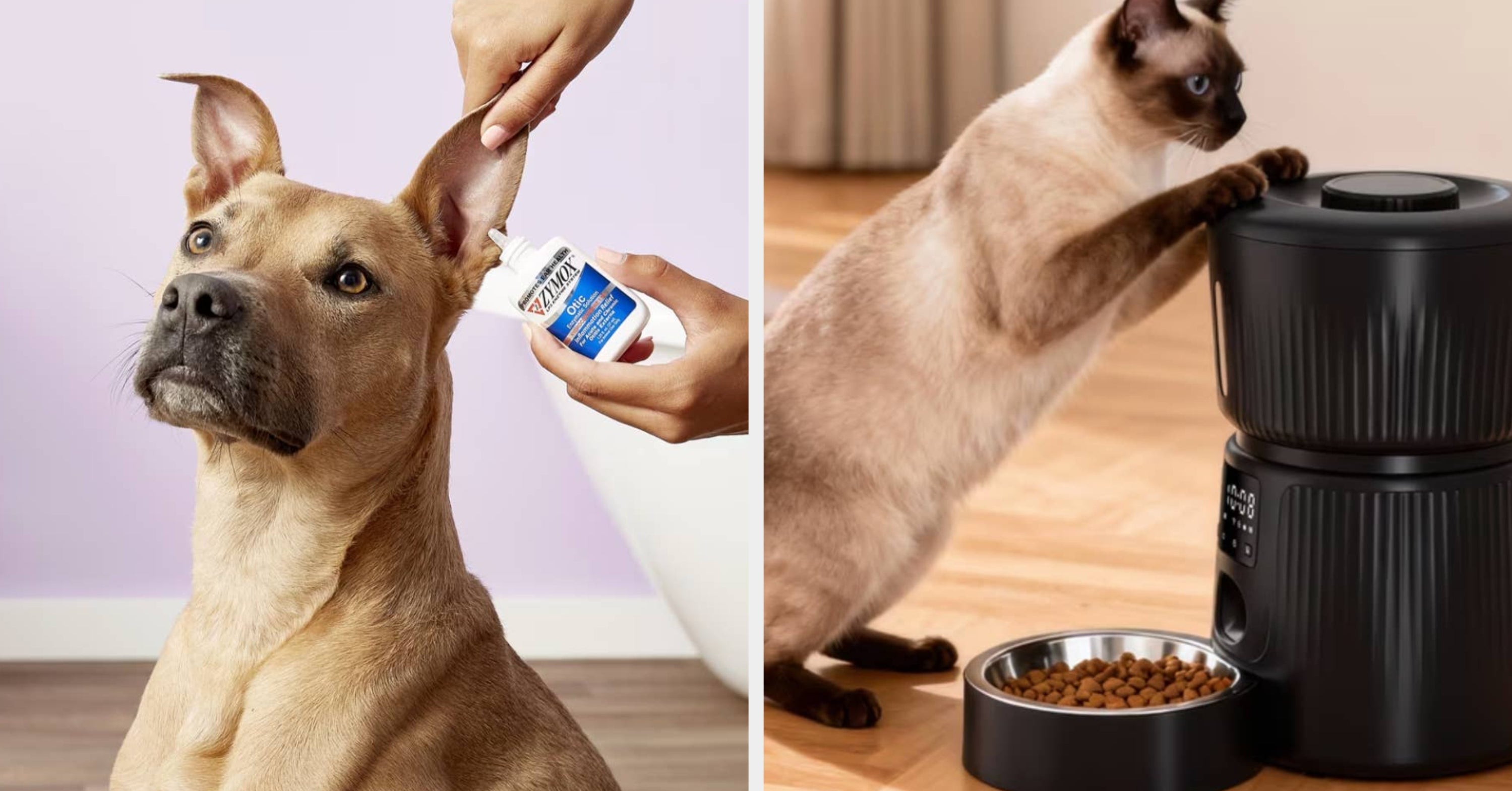 27 Products From Chewy That’ll Make You Wonder Why You Waited So Long To Try Them