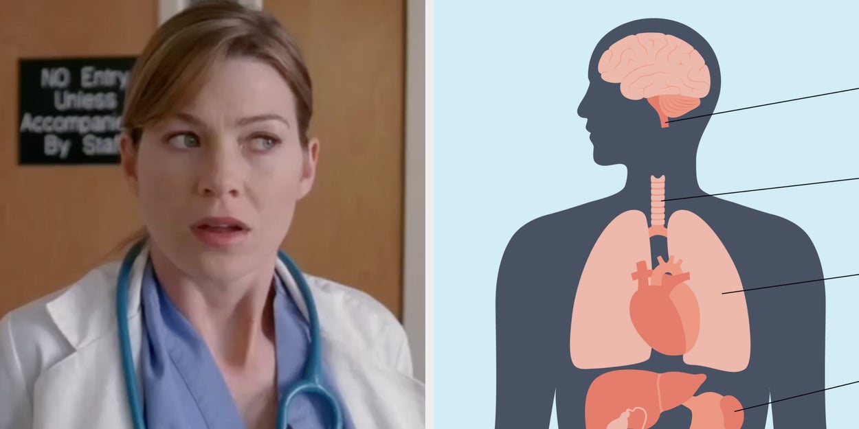 If You Ace This Tap On Image Anatomy Test, You Should Be A Doctor