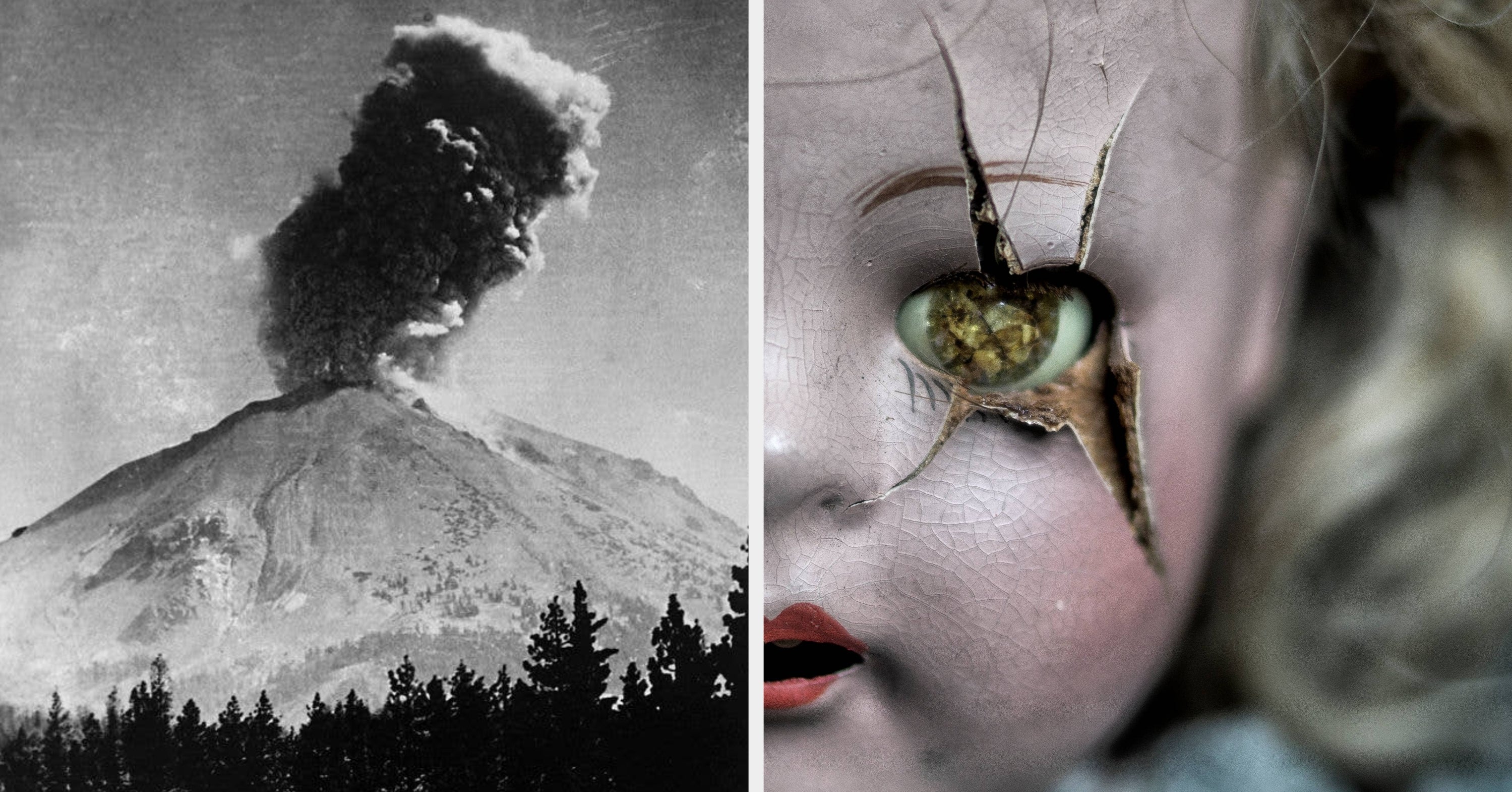 "We Almost Died": People Are Sharing The Most Jaw-Dropping Thing To Ever Happen To Them, And Consider Me Spooked