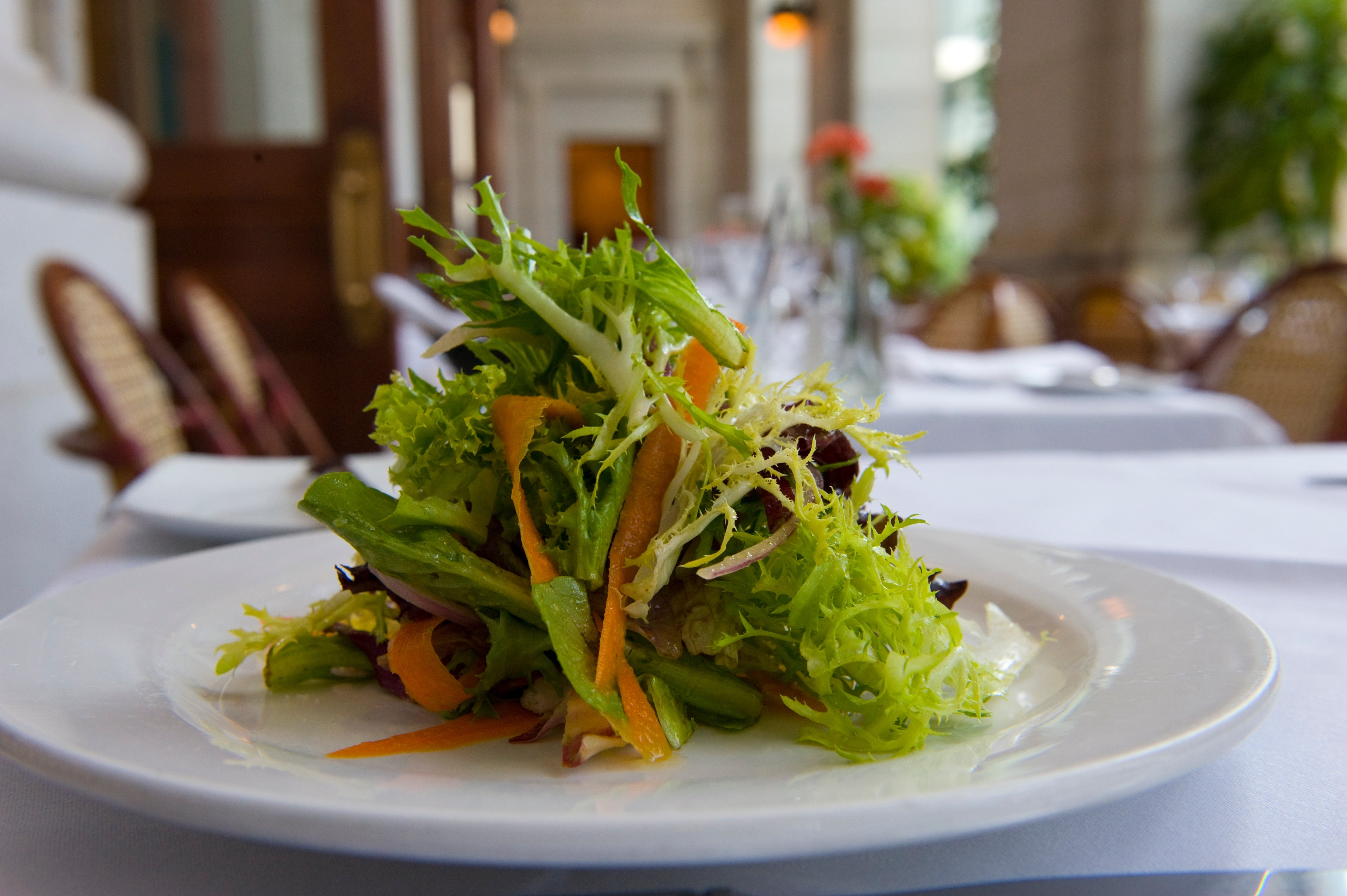 A caller crockery with mixed greens and carrot shavings connected a achromatic plate, acceptable connected an elegant edifice table