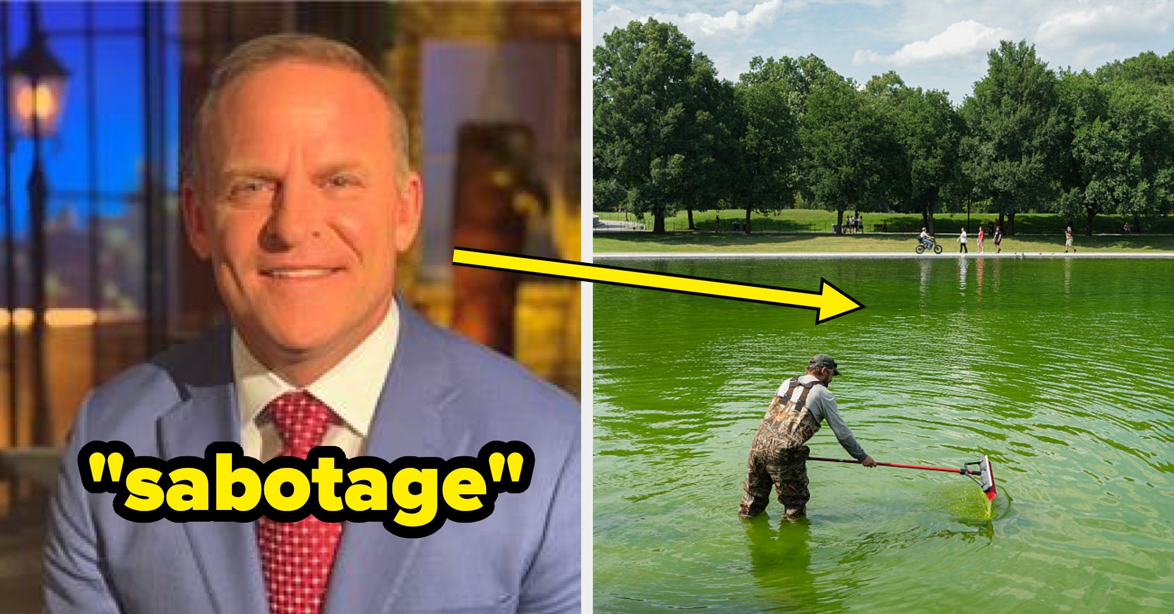 Trump Supporter's Green Reflecting Pool Theory