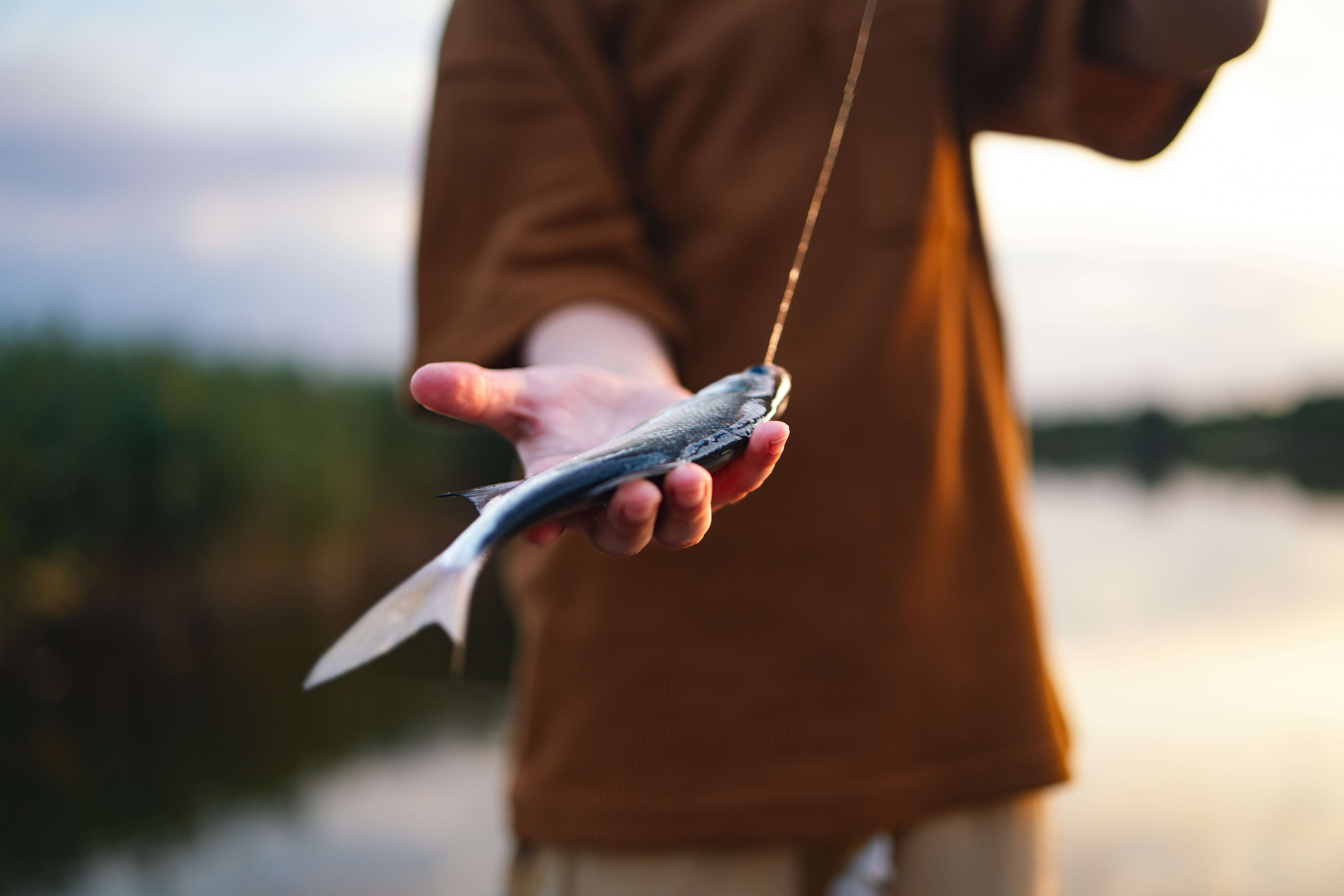 Person som holder en liten fisk som er hektet på en line ved en innsjø, med et uskarpt landskap i bakgrunnen