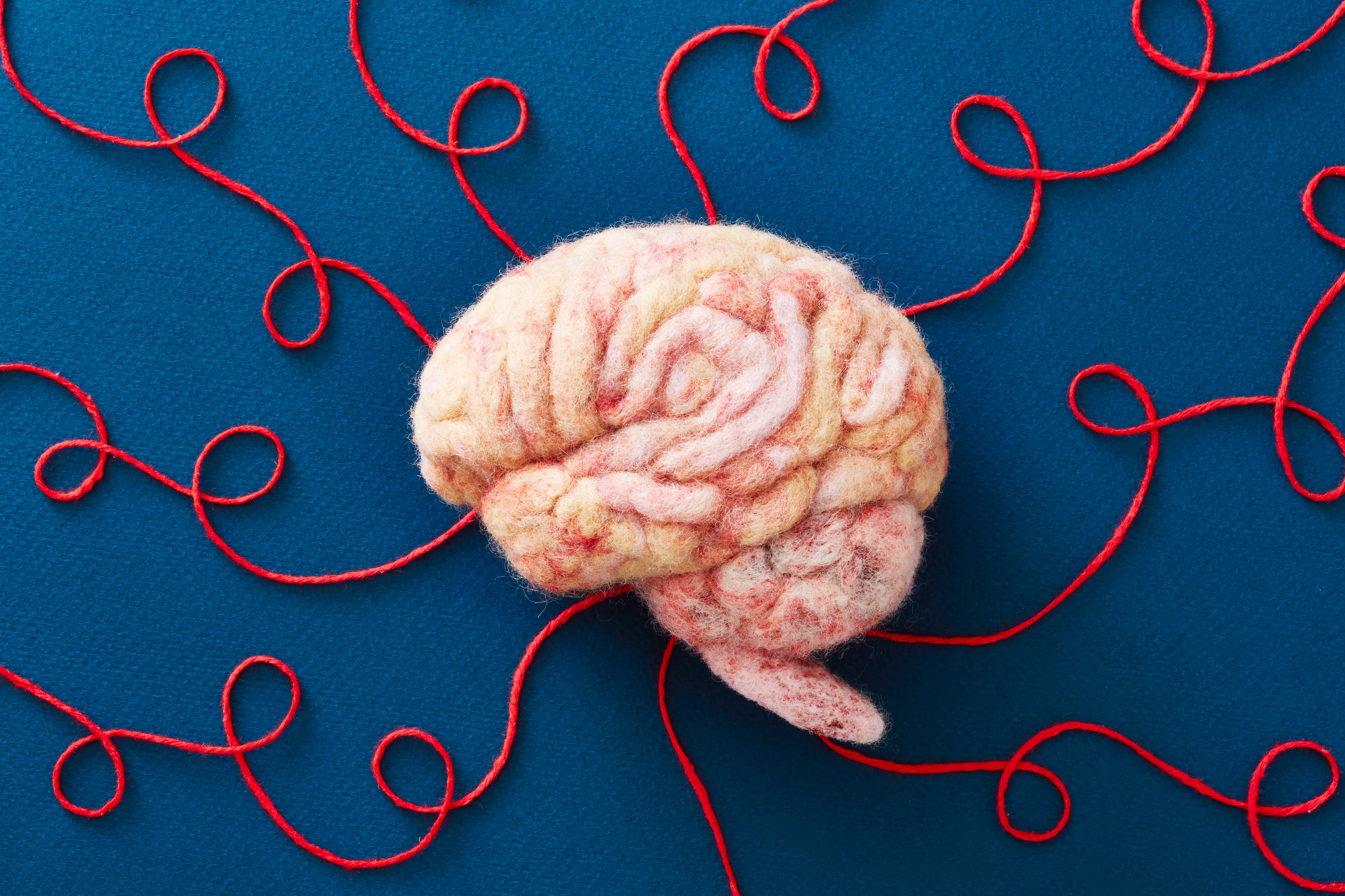 A felted wool encephalon with reddish threads extending from it, symbolizing connections oregon thoughts, placed connected a cloth background