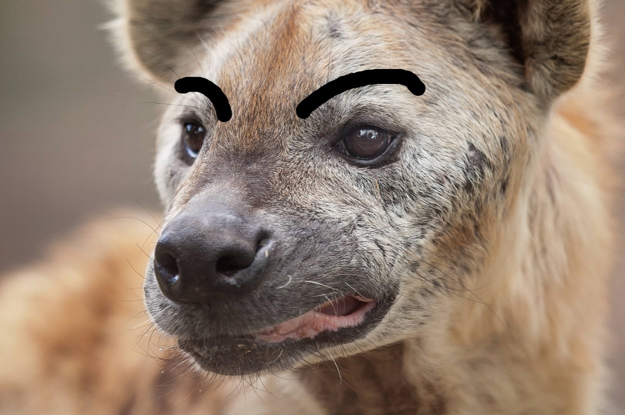 We'll Reveal Which Animal You Need To Channel Right Now