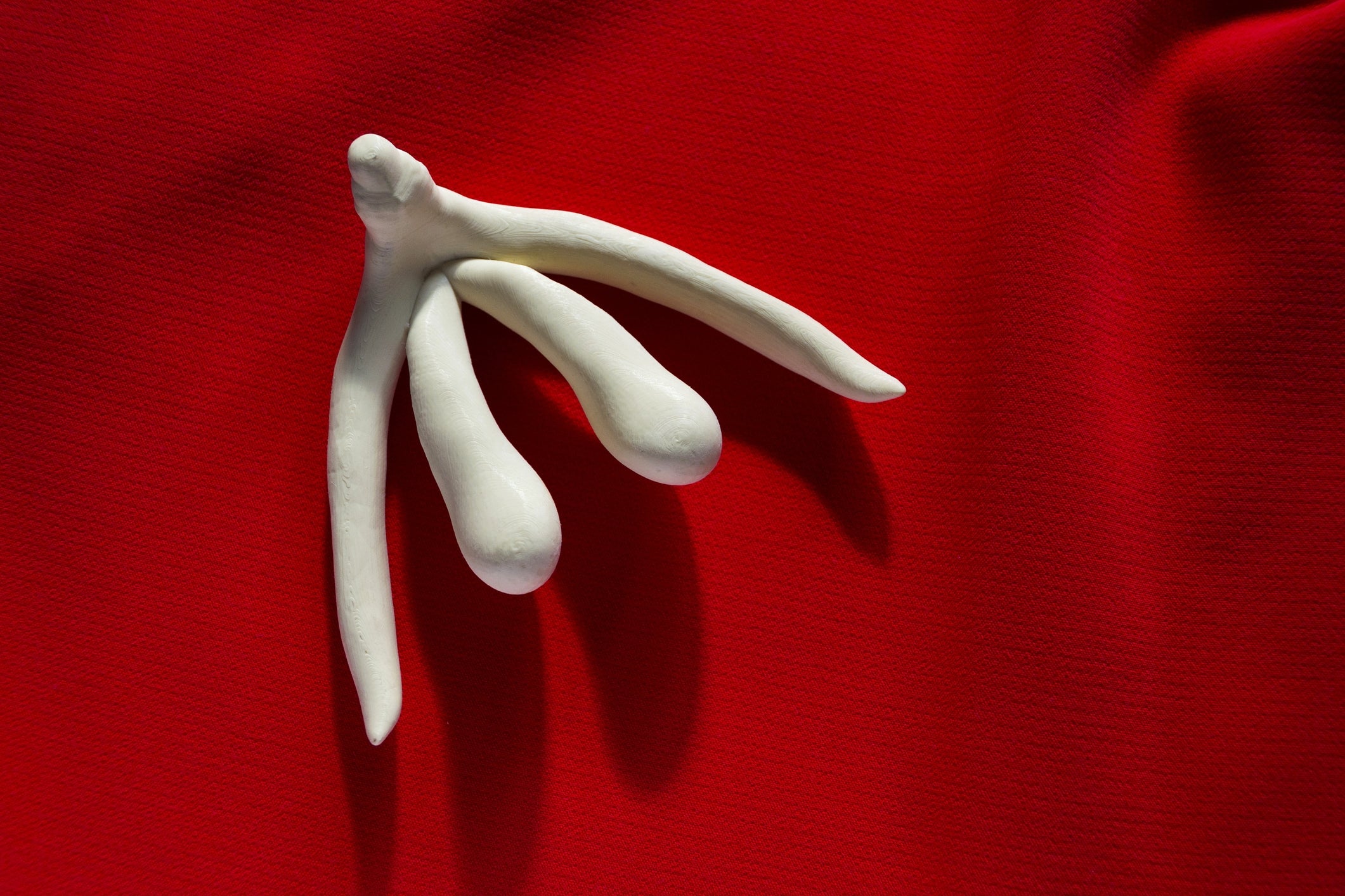 Model of a clitoris connected a textured surface