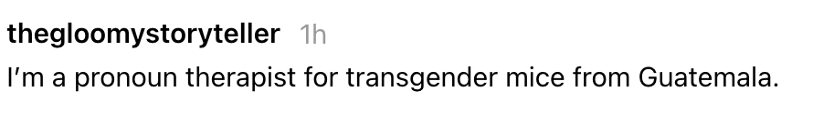 "I'm a pronoun therapist for transgender mice from Guatemala."