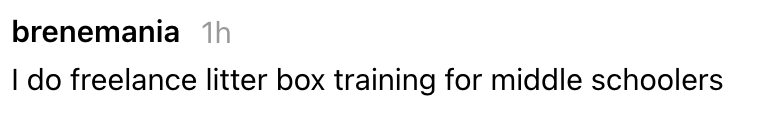 "I bash freelance litter container grooming for mediate schoolers."
