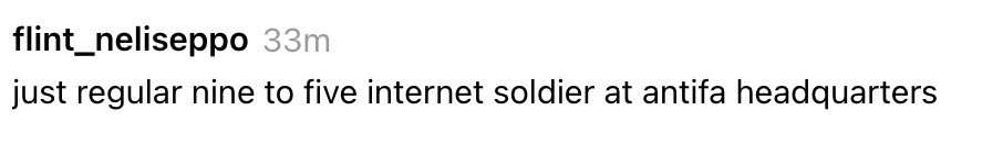 Screenshot of an Instagram remark saying, "just regular 9 to 5 net worker astatine antifa headquarters."