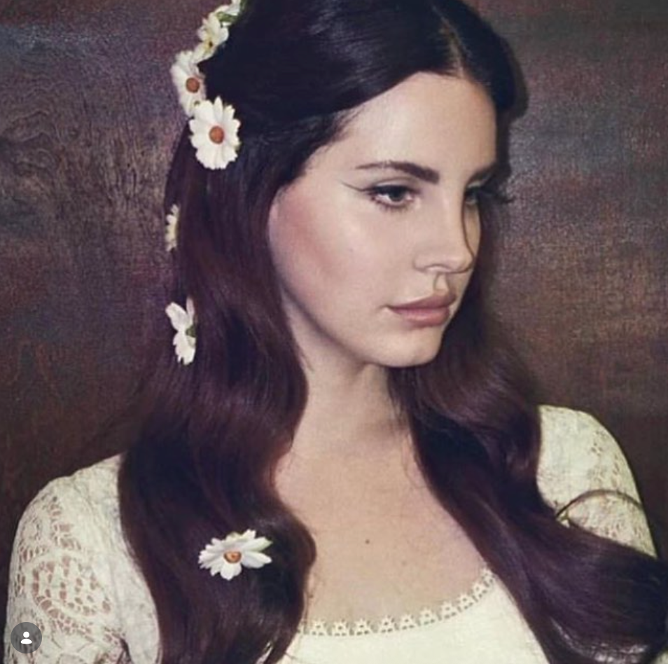 Person with agelong  hairsbreadth  adorned with daisies, wearing a vintage lace dress, looking thoughtfully to the side