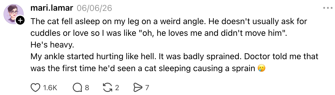 Social media post about a cat sleeping on someone's leg, causing a sprained ankle. Doctor said it was the first case they saw like this