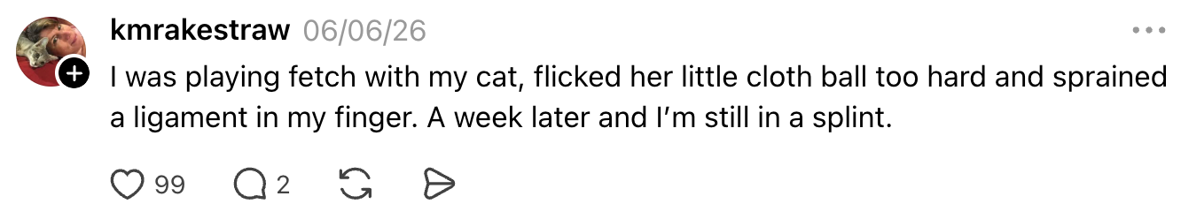 Social media post about playing fetch with a cat and spraining a ligament, resulting in wearing a splint