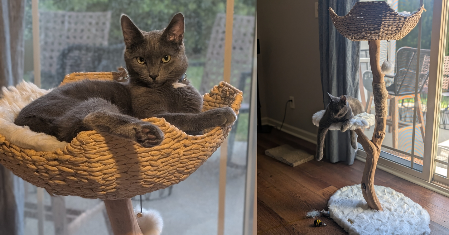 I Splurged On A Viral Cat Tree, And I Love It As Much As My Cat