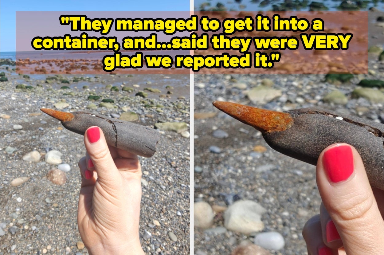 37 Times Someone Found A Really Weird Thing And Needed The Internet To Identify It For Them