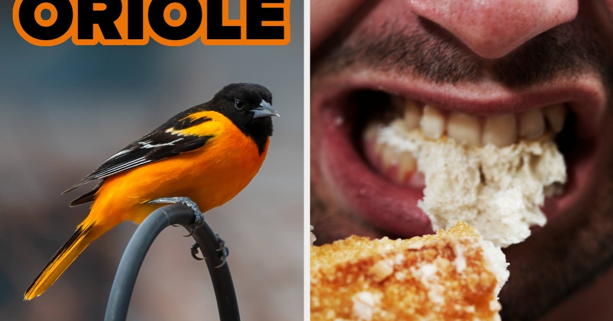 We Can Guess Your Biggest Ick With Scary Accuracy Based On The Birds You Have Seen