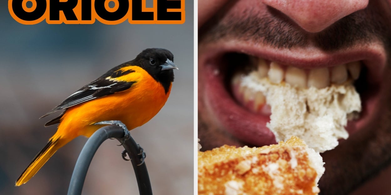 Check Off Each Bird You've Seen And We'll Guess Your Biggest Ick!
