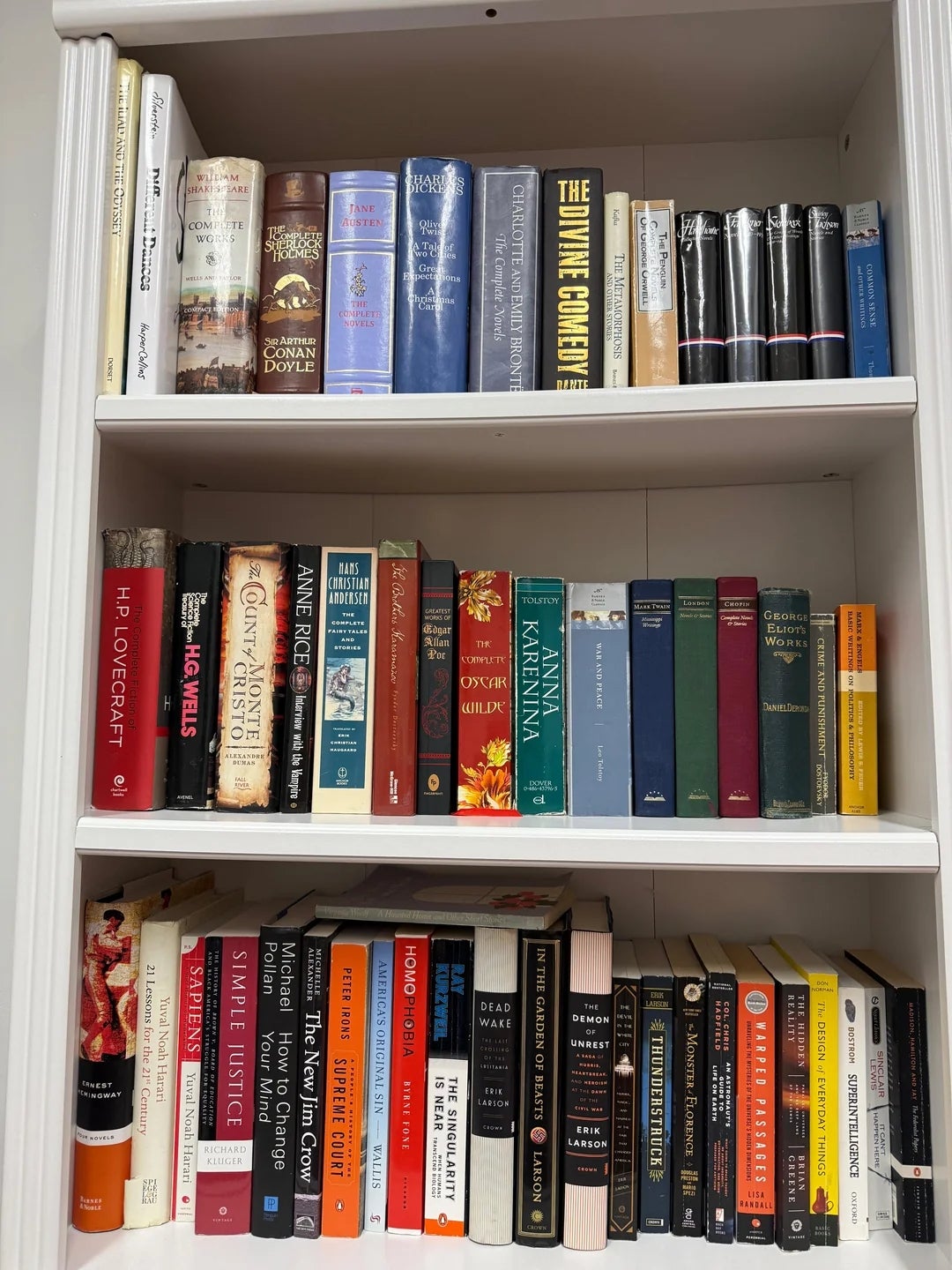 Bookshelves filled with assorted fabrication and non-fiction books, showcasing divers authors and genres