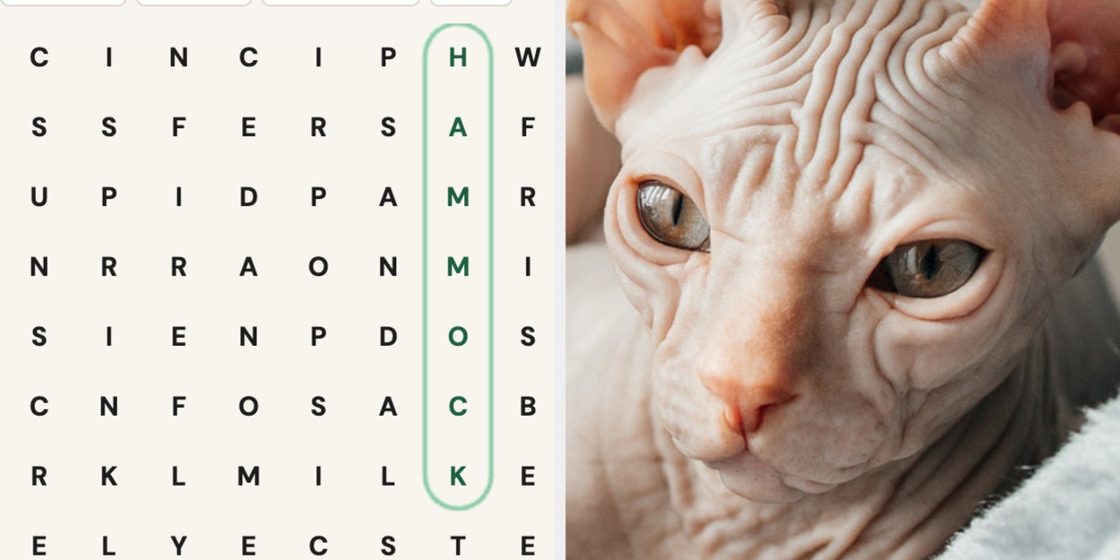 Word Search, Camping Edition: June 19, 2026