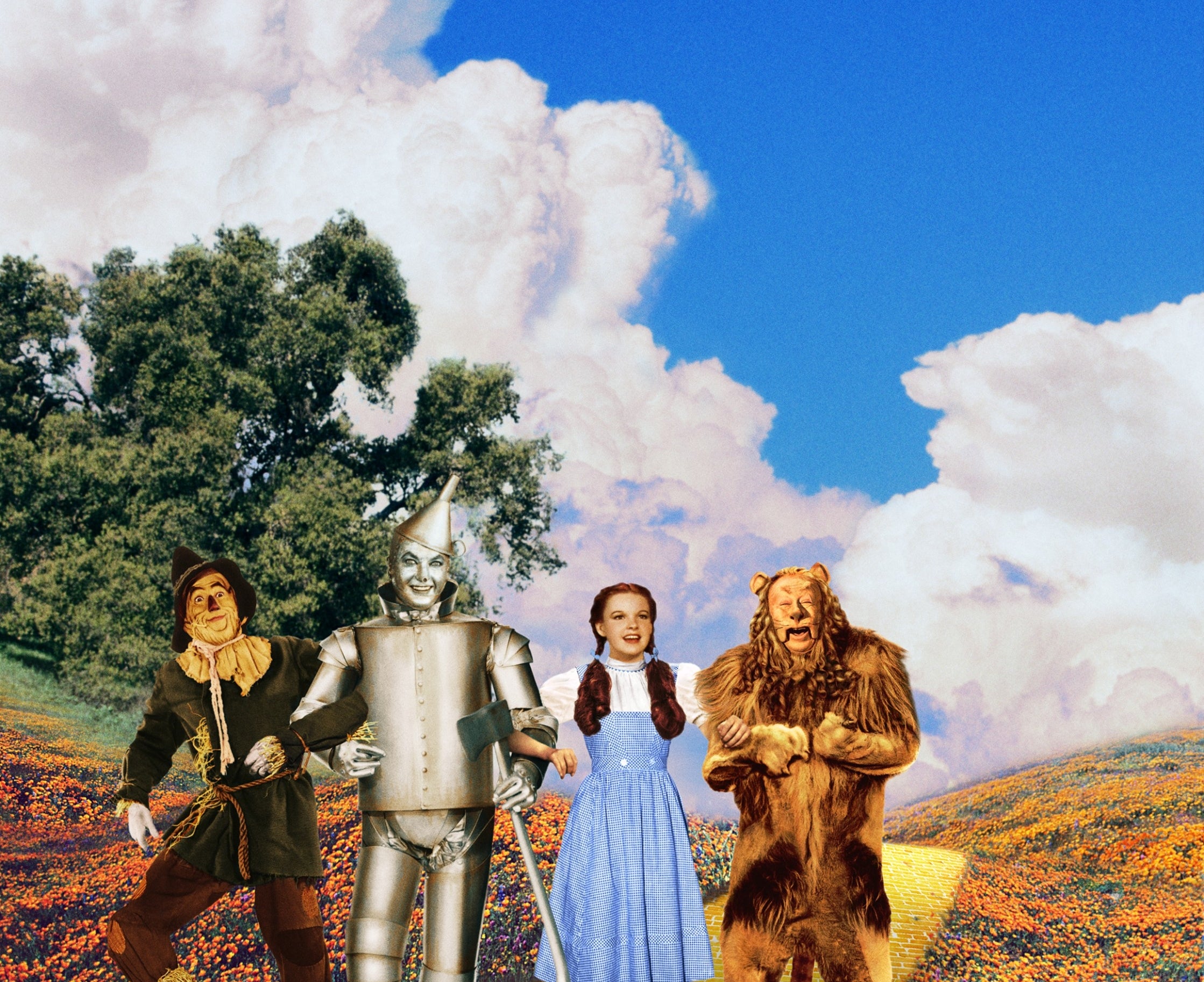 a scarecrow, tin man, miss  successful  a dress, and lion from a classical  movie  scene