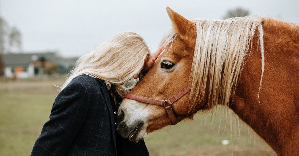 Always Wanted To Find Out What You'd Be Like If You Were A Horse? Giddy Up And Make These Horsey Choices