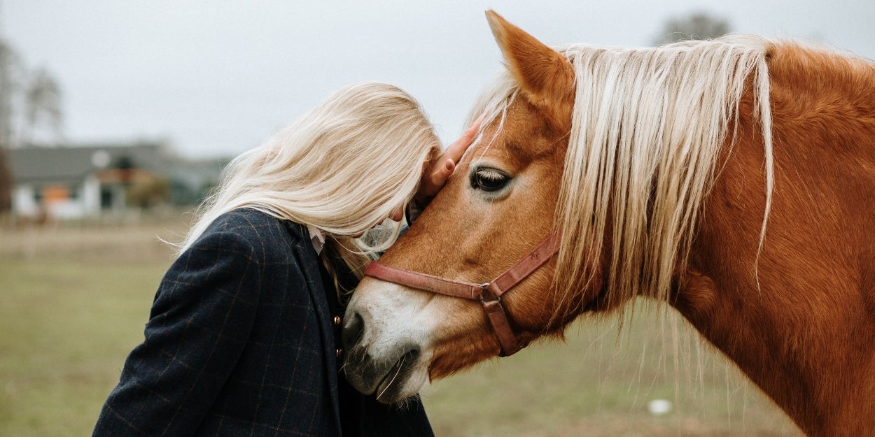 Discover Your True Horse Personality By Embracing Your Inner Equestrian