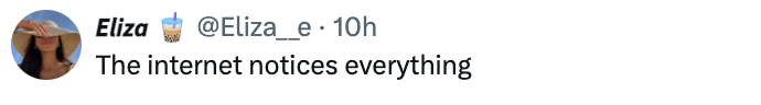 Tweet by Eliza saying, "The net notices everything."