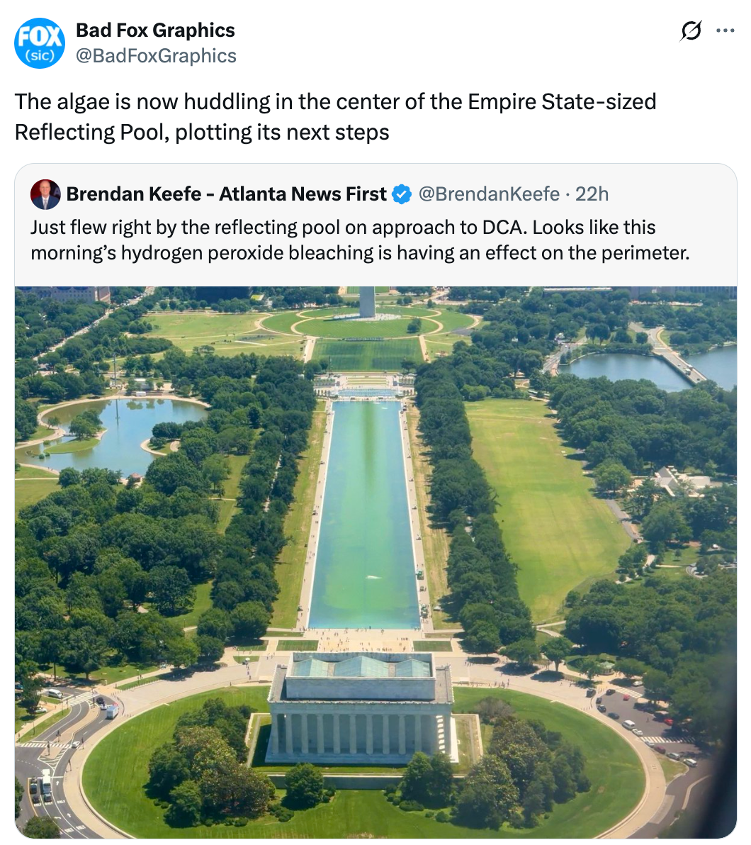 Screenshot of a tweet discussing algae gathering astatine the Reflecting Pool, referencing its size arsenic comparable to the Empire State Building's center