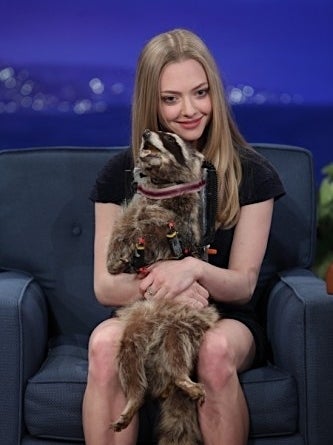 Amanda Seyfried hugging a taxidermy raccoon on Conan