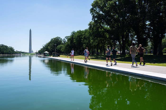 People walking and jogging by the Reflecting Pool successful  Washington, D.C., with the Washington Monument successful  the background