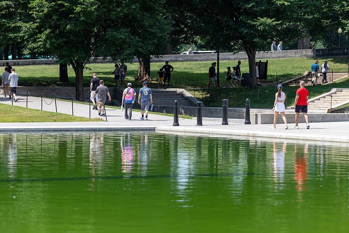 People walking by a greenish  pond successful  a park, immoderate   wearing casual shorts and t-shirts, portion    others are gathered successful  tiny  groups nether  trees
