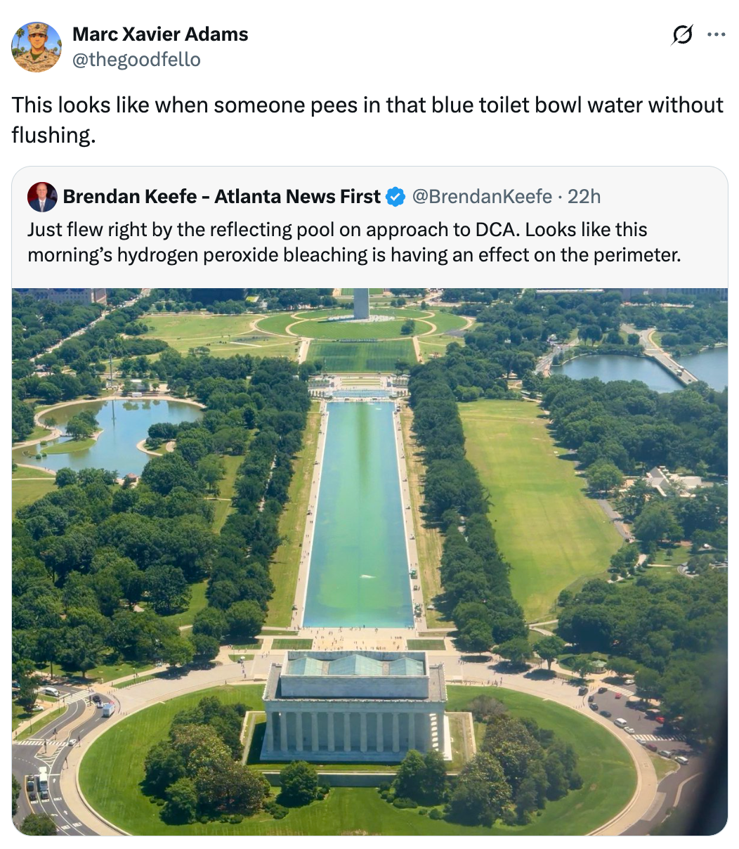Tweet joking astir a photograph showing a greenish reflecting excavation adjacent the Lincoln Memorial, suggesting it resembles unflushed toilet water