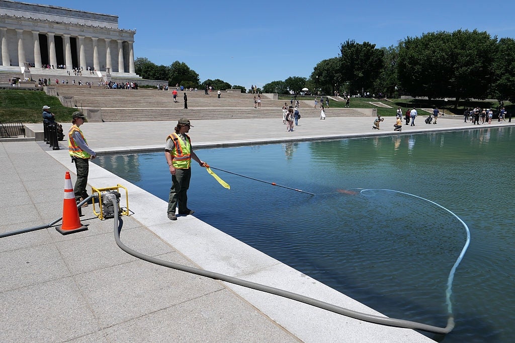 Workers cleanable the Reflecting Pool adjacent the Lincoln Memorial utilizing hoses and nets