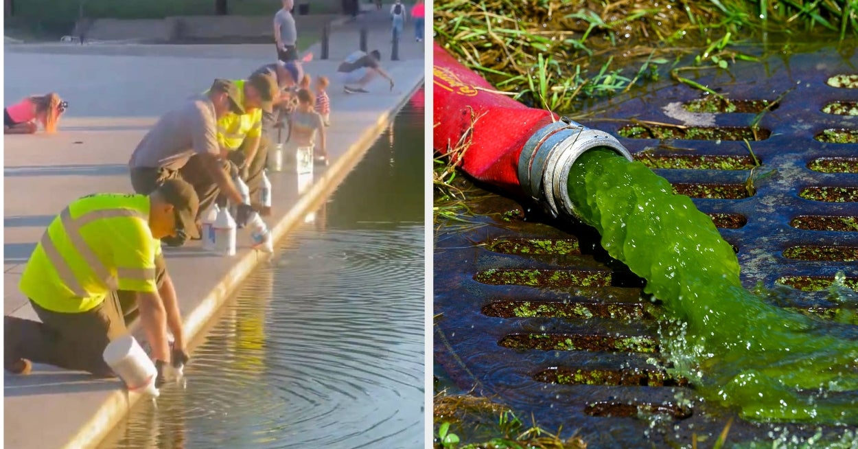 Soooo, It Turns Out Pouring Unreasonable Amounts Of Hydrogen Peroxide Into The Reflecting Pool Had Some Side Effects